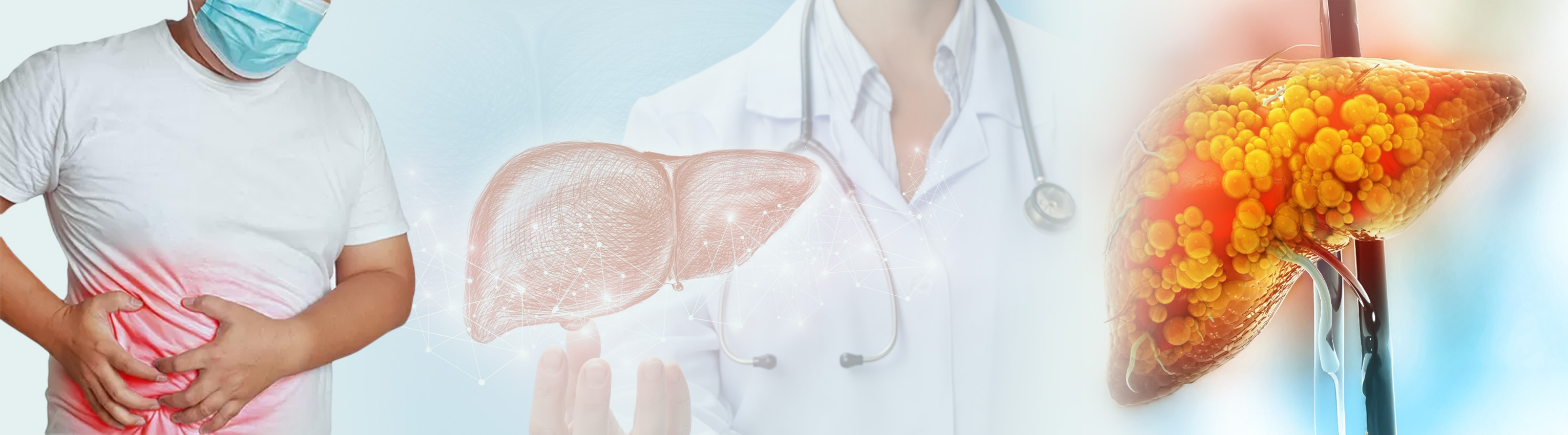 non alcoholic fatty liver disease